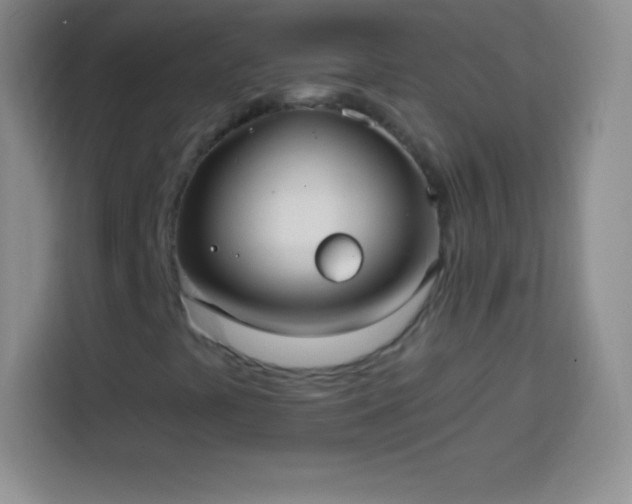 X0000113921441200910011502