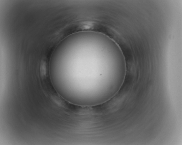 X0000113921442200910011502