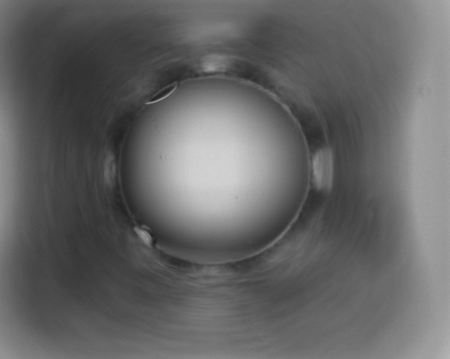 X0000113921443200910011502