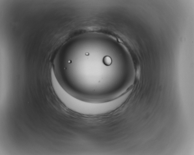 X0000113921444200910011502