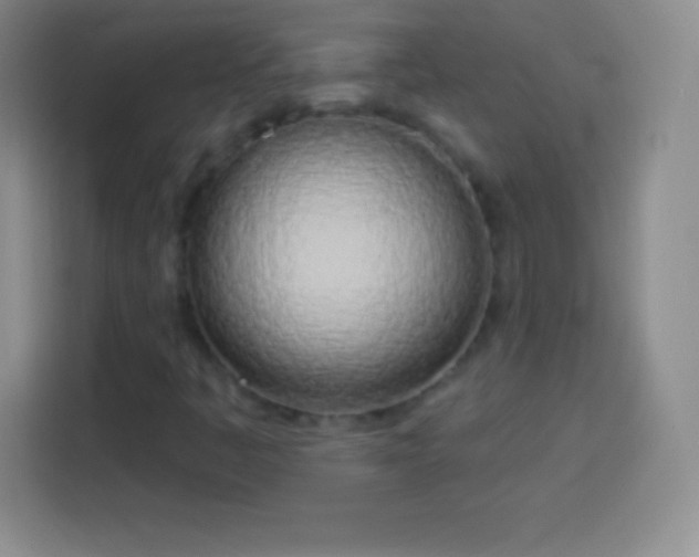 X0000113921445200910011502