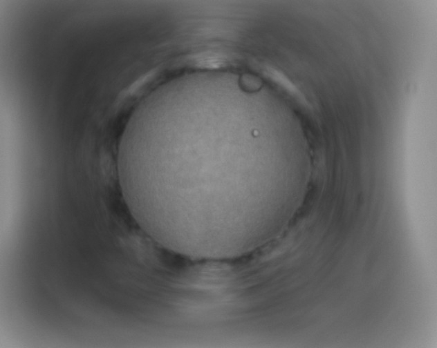 X0000113921446200910011502