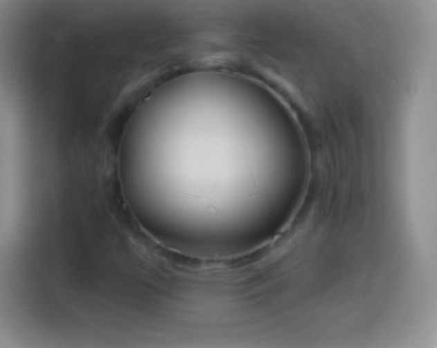 X0000113921447200910011502