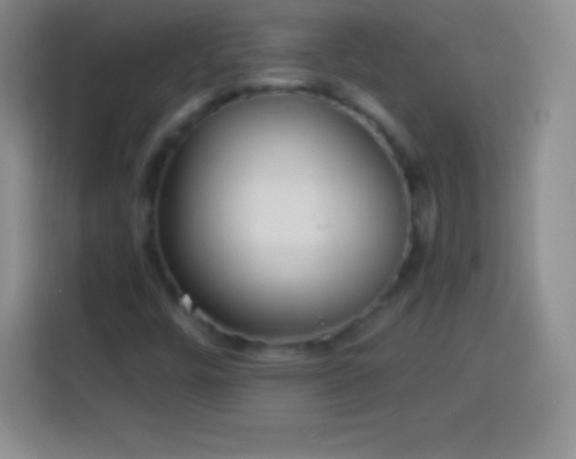 X0000113921448200910011502