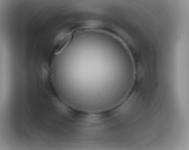 X0000113921449200910011502