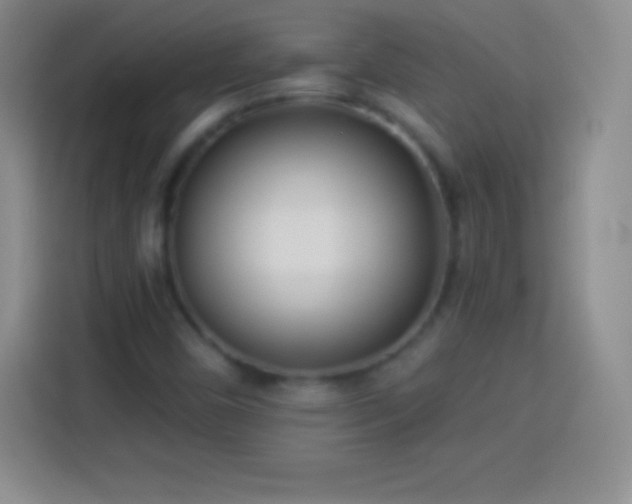 X0000113921450200910011502