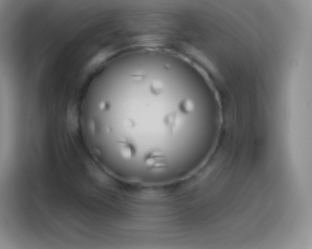 X0000113921451200910011502