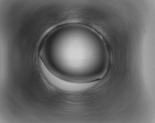 X0000113921452200910011502