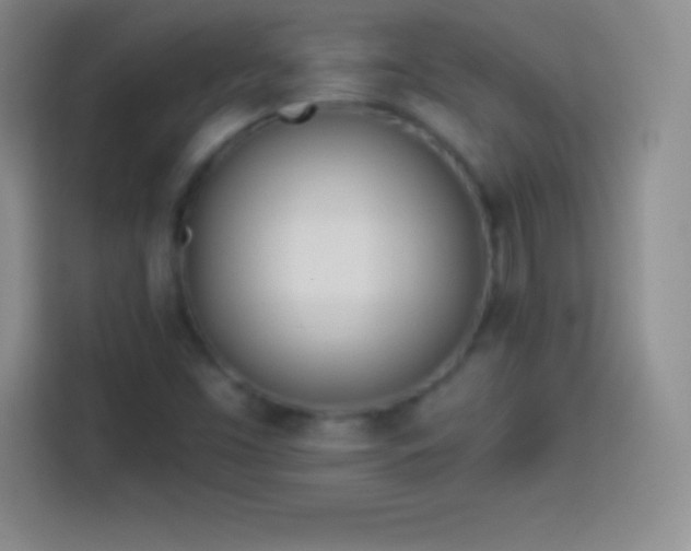 X0000113921453200910011502