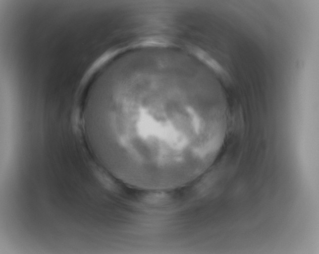 X0000113921454200910011502