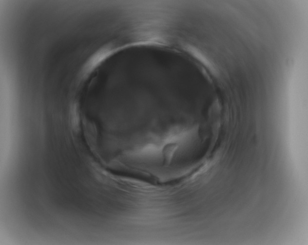 X0000113921455200910011502