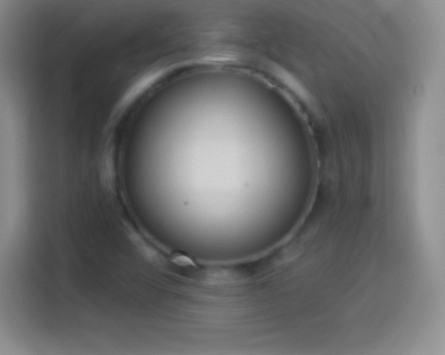 X0000113921456200910011502