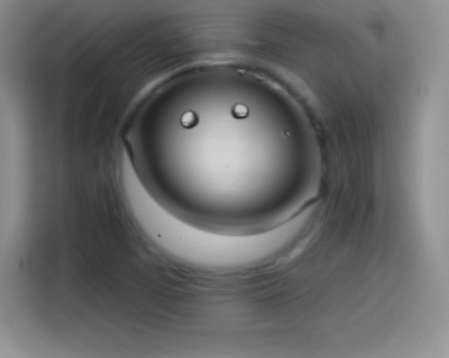 X0000113921457200910011502