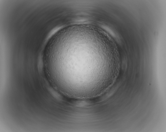 X0000113921458200910011502