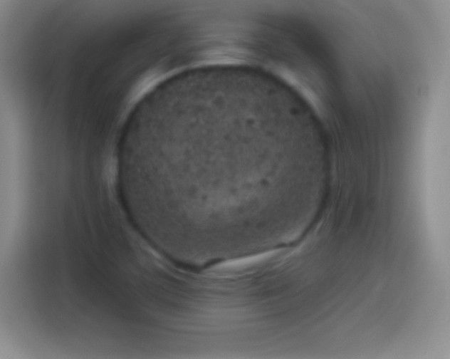 X0000113921459200910011502