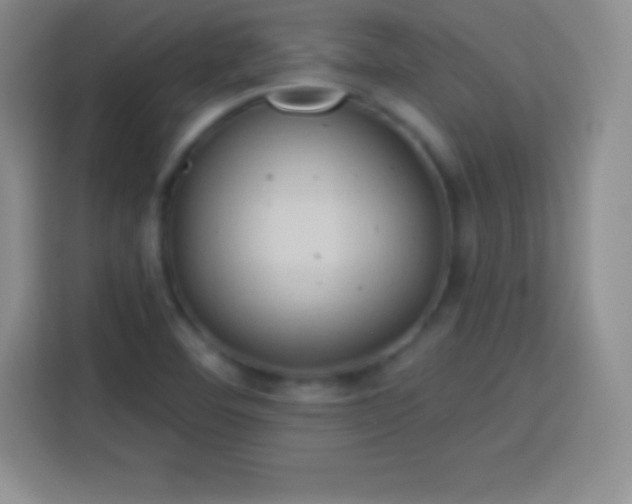 X0000113921460200910011502