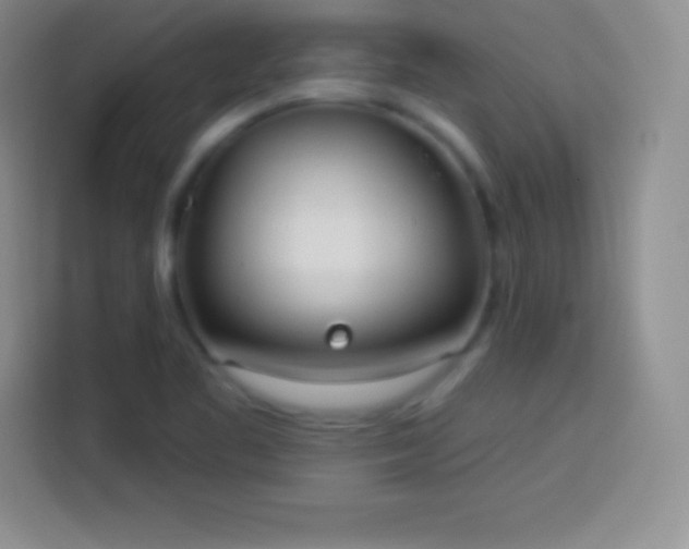 X0000113921461200910011502