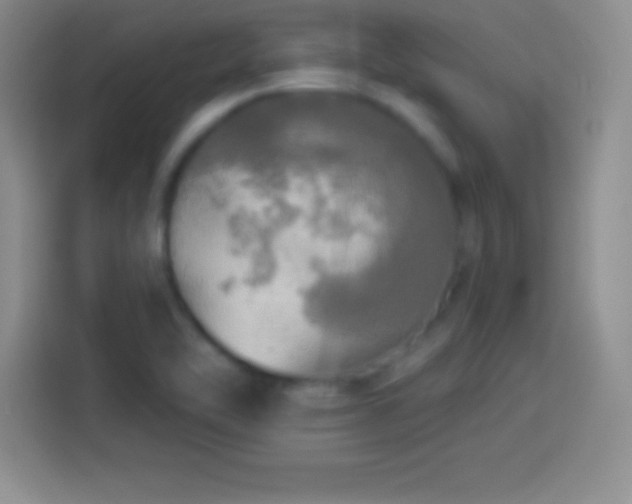 X0000113921462200910011502