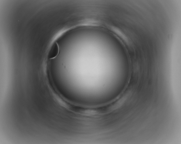 X0000113921463200910011502