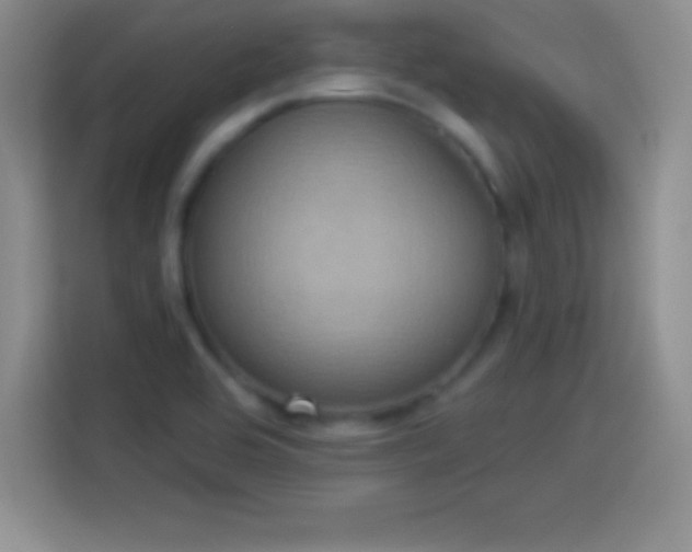 X0000113921464200910011502