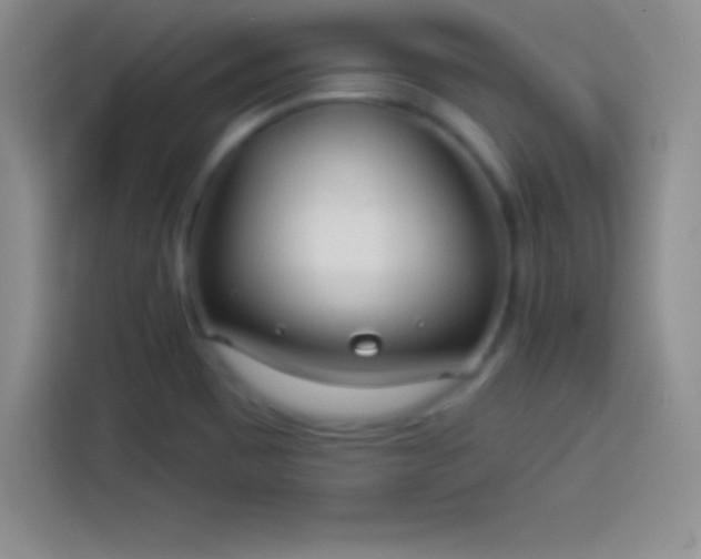 X0000113921465200910011502