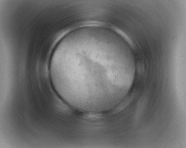 X0000113921466200910011502