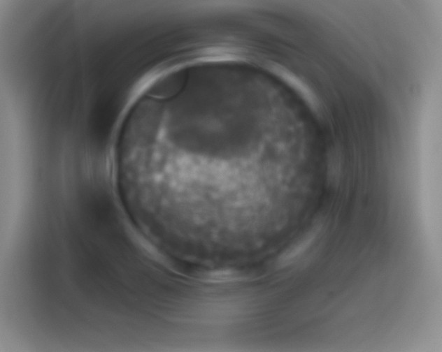 X0000113921467200910011502