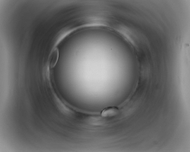 X0000113921468200910011502