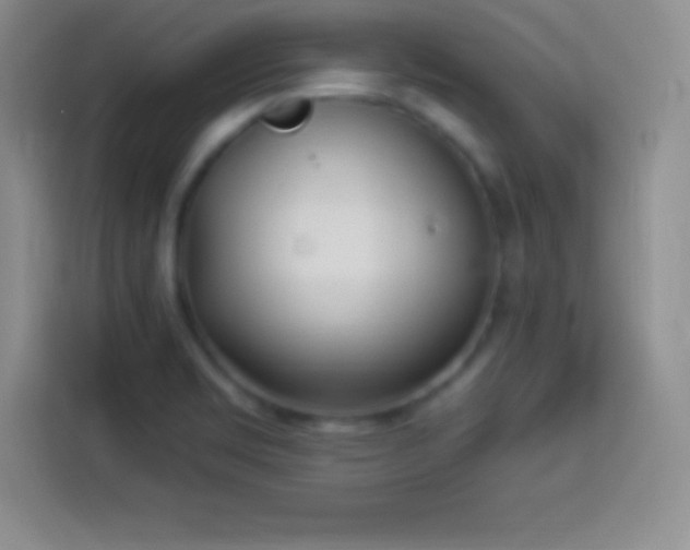 X0000113921469200910011502