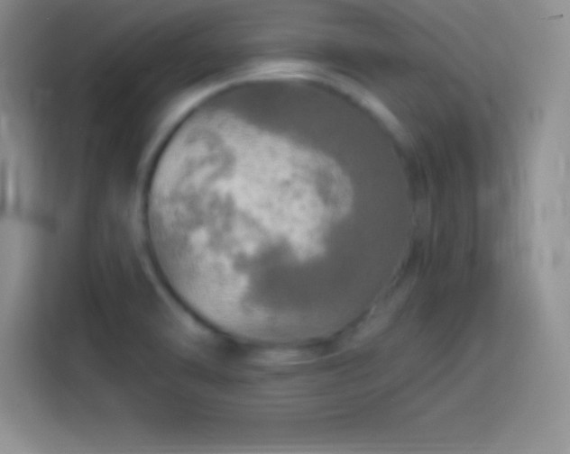 X0000113921470200910011502