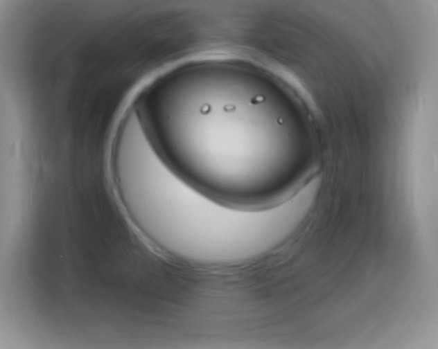 X0000113921472200910011502