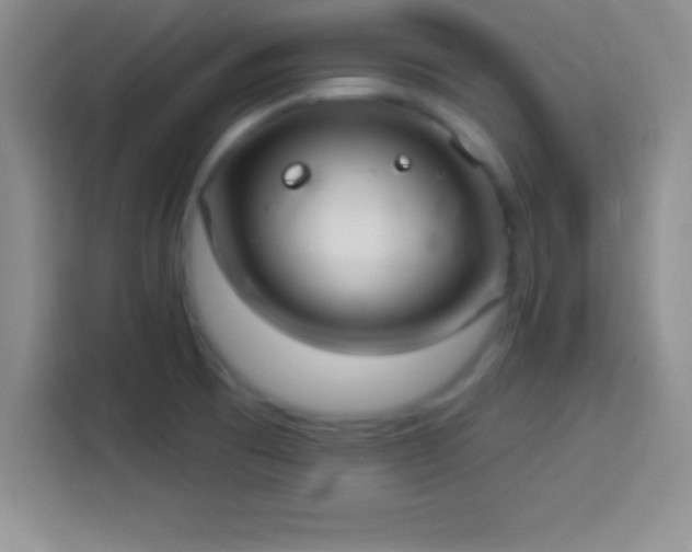 X0000113921473200910011502