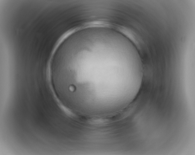 X0000113921474200910011502