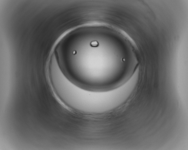 X0000113921476200910011502