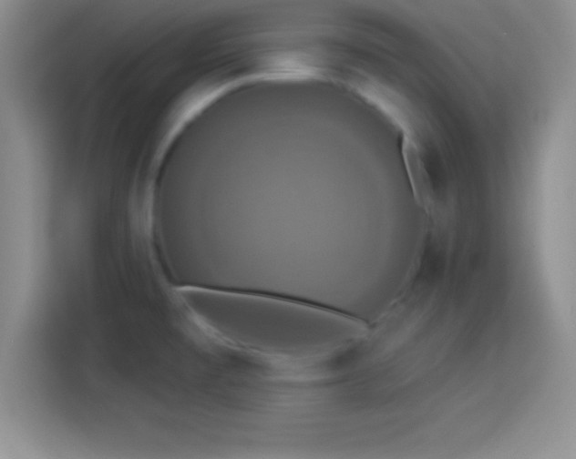 X0000113921477200910011502