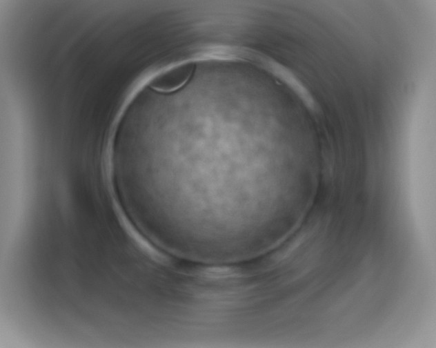 X0000113921479200910011502