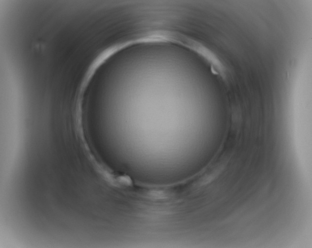 X0000113921480200910011502