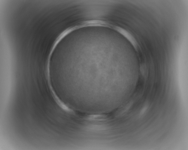 X0000113921482200910011502