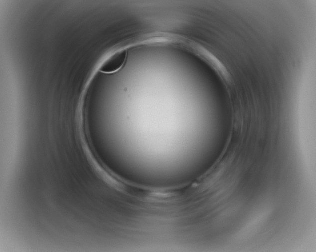 X0000113921483200910011502