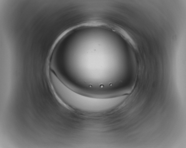 X0000113921484200910011502