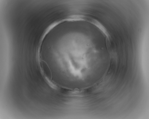 X0000113921485200910011502