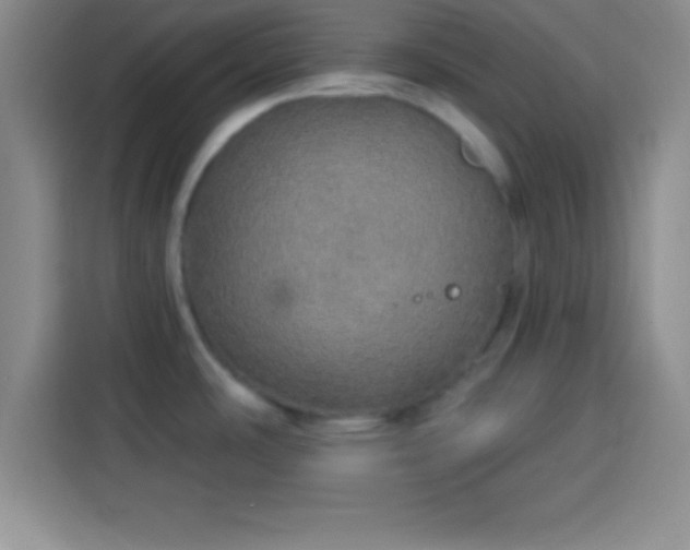 X0000113921486200910011502