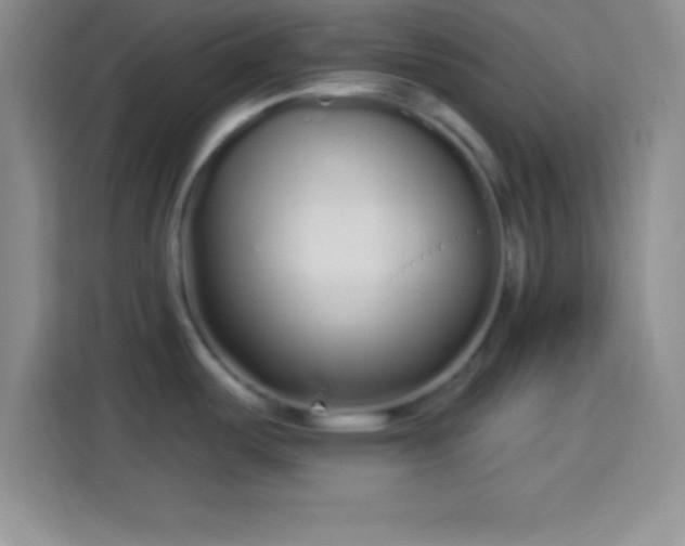 X0000113921487200910011502