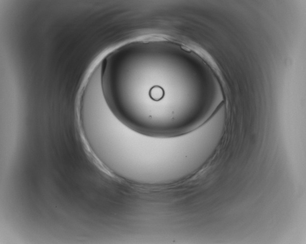 X0000113921488200910011502