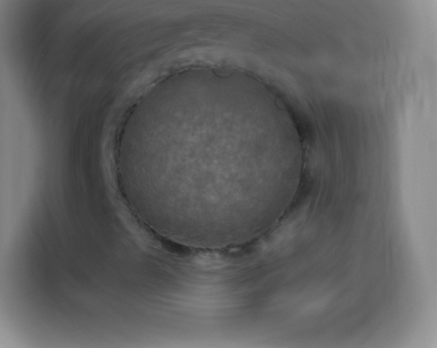 X0000113921489200910011501