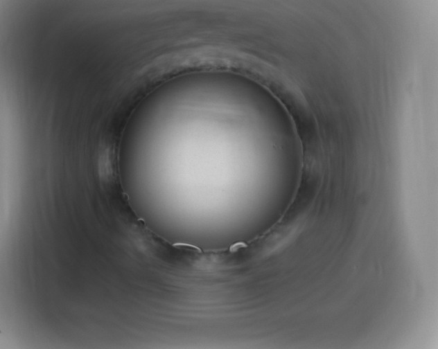 X0000113921490200910011501