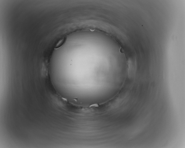 X0000113921491200910011501