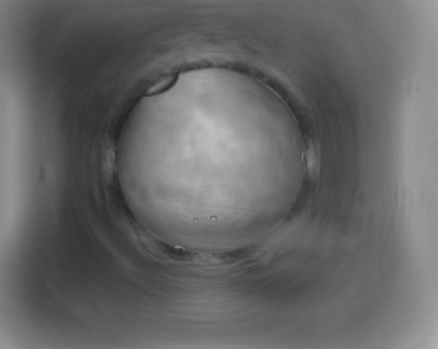 X0000113921492200910011501