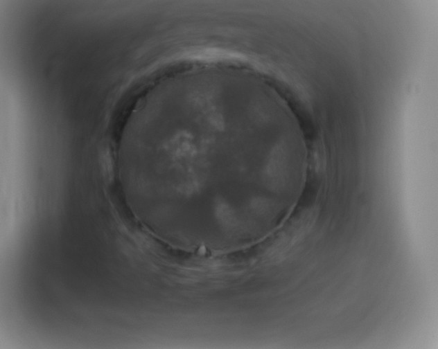 X0000113921493200910011501