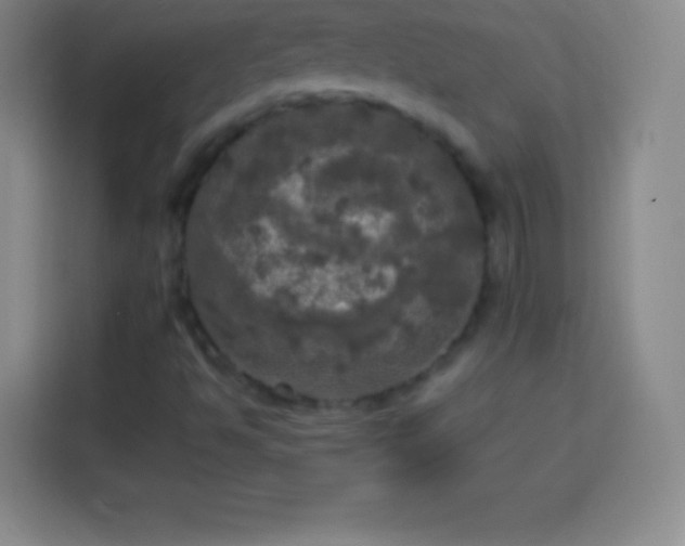 X0000113921494200910011501